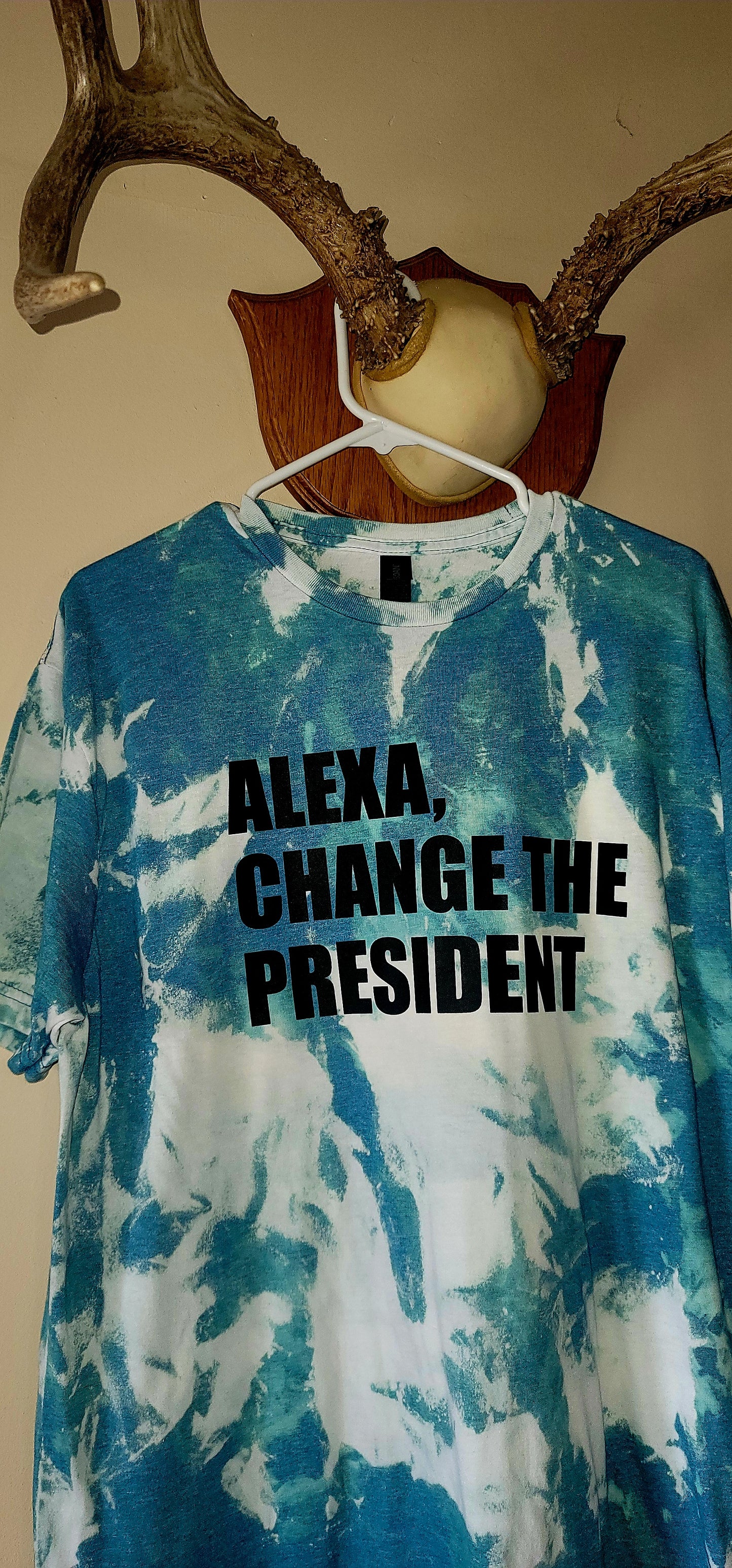 Alexa Change The President Graphic Bleached Tee